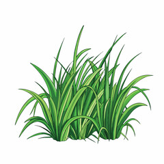 fresh green grass vector