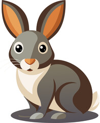 rabbit vector 