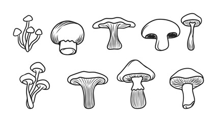 Collection of Various Hand-Drawn Mushroom Illustrations in Outline Style for Nature Designs
