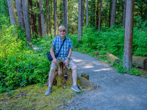 Senior male resting on a tree stump at Mundy Park urban forest trail, BC, Canada.