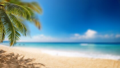 Fototapeta premium unfocused blurred beach background with blue sea and palm trees