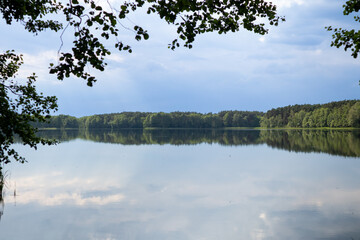 Tranquil woodland pond mirror reflection under soft overcast light in Poland