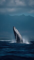 Whale breaching ocean surface with spray arcs on a softly blurred horizon backdrop under bright sky light