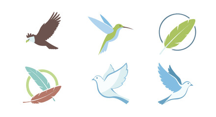 Stylized Vector Illustrations of Flying Birds Including Eagle, Hummingbird, Doves, and Feathers Representing Nature