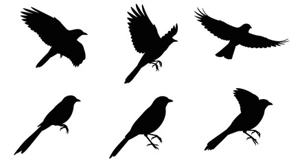 A vector set of cute flying bird silhouettes, perfect for nature-inspired designs