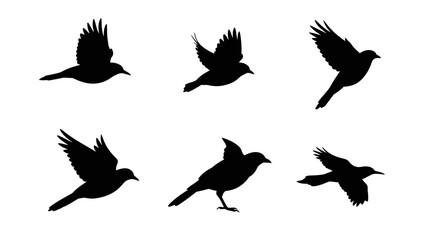Obraz premium A vector set of cute flying bird silhouettes, perfect for nature-inspired designs