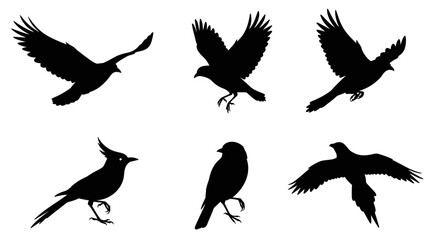 A vector set of cute flying bird silhouettes, perfect for nature-inspired designs
