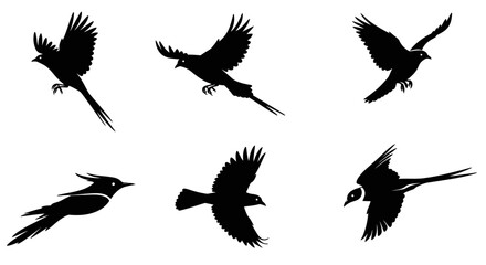 A vector set of cute flying bird silhouettes, perfect for nature-inspired designs