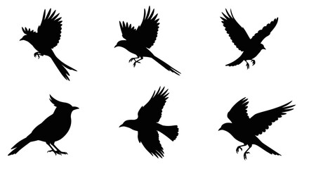 A vector set of cute flying bird silhouettes, perfect for nature-inspired designs