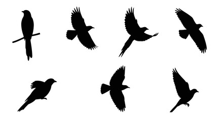 Flying bird silhouettes collection vector illustration