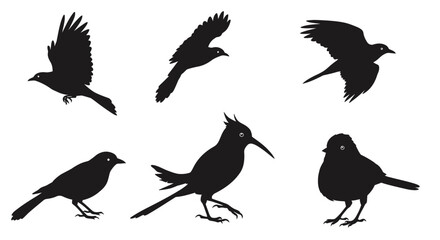 A vector set of cute flying bird silhouettes, perfect for nature-inspired designs