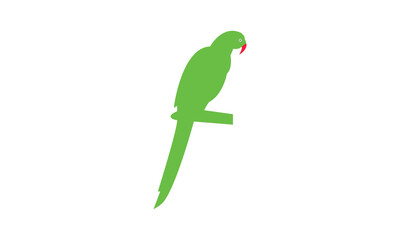 Vector Cartoon parrot bird Design Fully Editable High Quality