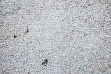 Detailed Close-Up of Light Textured Wall Surface with Subtle Imperfections