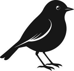 bird on a branch