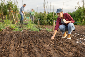 Woman farmer planting seeds in the garden on the farm on background of family. Planting seeds and...