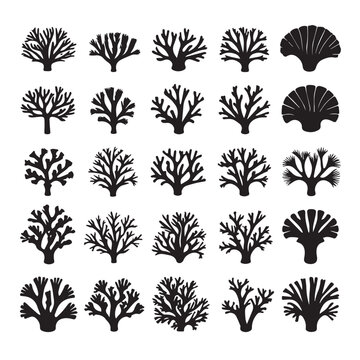 Collection of black silhouettes of various coral types and a seashell