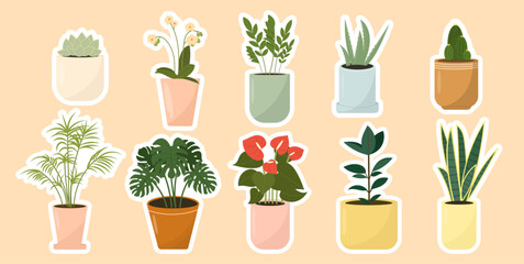 Сollection of indoor potted plants, stickers set. Popular houseplants such as succulents, cacti, monstera, palm, anthurium, sansevieria, orchid, aloe vera and ficus. Vector illustration, flat style.