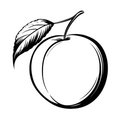 a black and white drawing of a peach with a leaf black, branch, drawing, illustration, leaf, peach , Generative art.