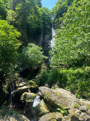 Fototapeta premium waterfall in the forest