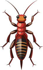 Earwig isolated on white background