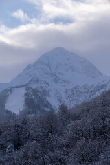 Snow-covered mountain peak rises majestically above a dense forest of frosted trees, under a cloudy...