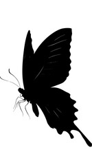Fototapeta premium a black and white silhouette of a butterfly black, butterfly, silhouette, wing , Generative art.