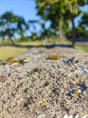 a lot of stones on the ground