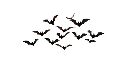 Fototapeta premium A Colony of Bats in Flight at Night
