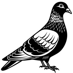 Obraz premium Pigeon vector illustration isolated on white background