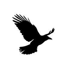 Obraz premium a black silhouette of a bird in flight on an isolated white background bird, black, crow, flight, fly, icon, silhouette, wing , Generative art.