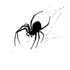 a silhouette of a spider on a white background black, silhouette, spider, wall , Generative art.