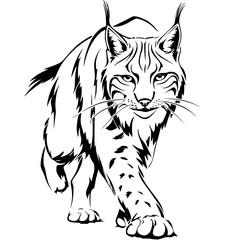 Fototapeta premium a black and white drawing of a cat on a white background black, cat, drawing, illustration, image, sketch , Generative art.