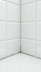Mold growth in the corner of a tiled bathroom wall  