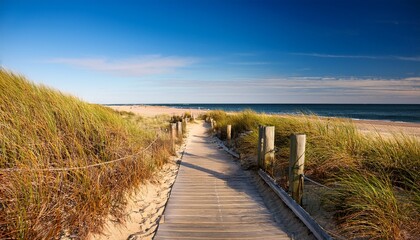 path way to the beach at cape cod