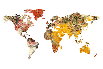 World map made of different aromatic spices on white background © New Africa