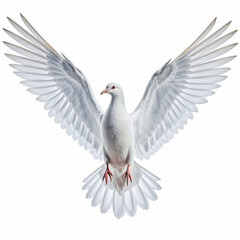Obraz premium Serene Dove: A pure white dove, a universal emblem of peace, takes flight, its wings outstretched in a moment of ethereal grace. capturing the peace and tranquility.