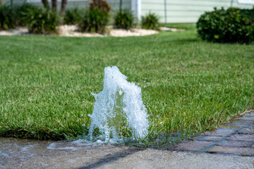 Broken Sprinkler Head Bubbling Up in Yard