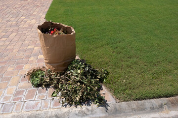 Bag of yard waste and trimmed branches by curb waiting to be picked up