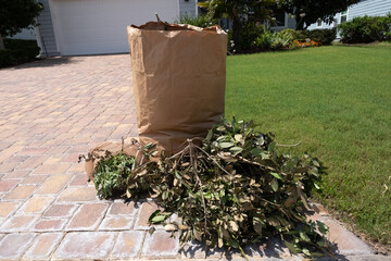 Bag of yard waste and trimmed branches in Front of House waiting to be picked up
