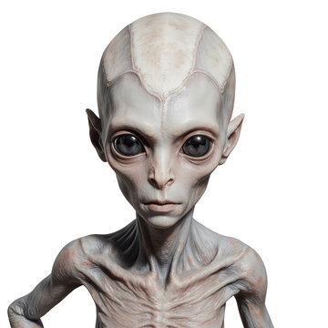 Mysterious Interstellar Visitor: A striking portrait of a grey alien, with sleek skin, captivating eyes, and a contemplative expression.