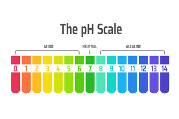 pH scale. Acid base chart.  Diagram of acidity and alkalinity levels