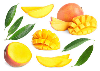Sweet mango fruits and green leaves isolated on white, set