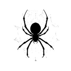 Obraz premium a black silhouette of a spider on a white background black, silhouette, spider , Generative art.