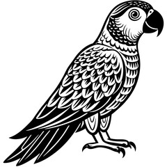 Fototapeta premium Black and white parrot illustration isolated on white background