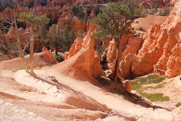 bryce canyon national park