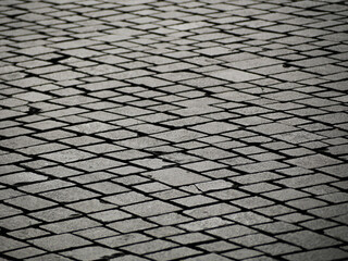 slant view on an irregular grid of rectangular coblestones paved on a public street