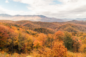 North Carolina and its beauty