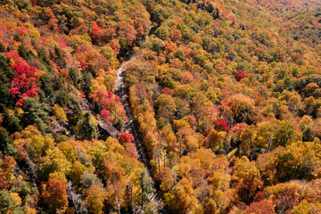 North Carolina and its beauty