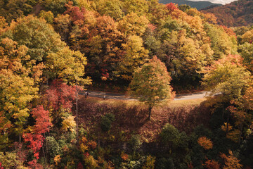 North Carolina and its beauty