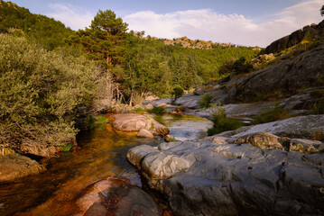 mountain river in the mountains
